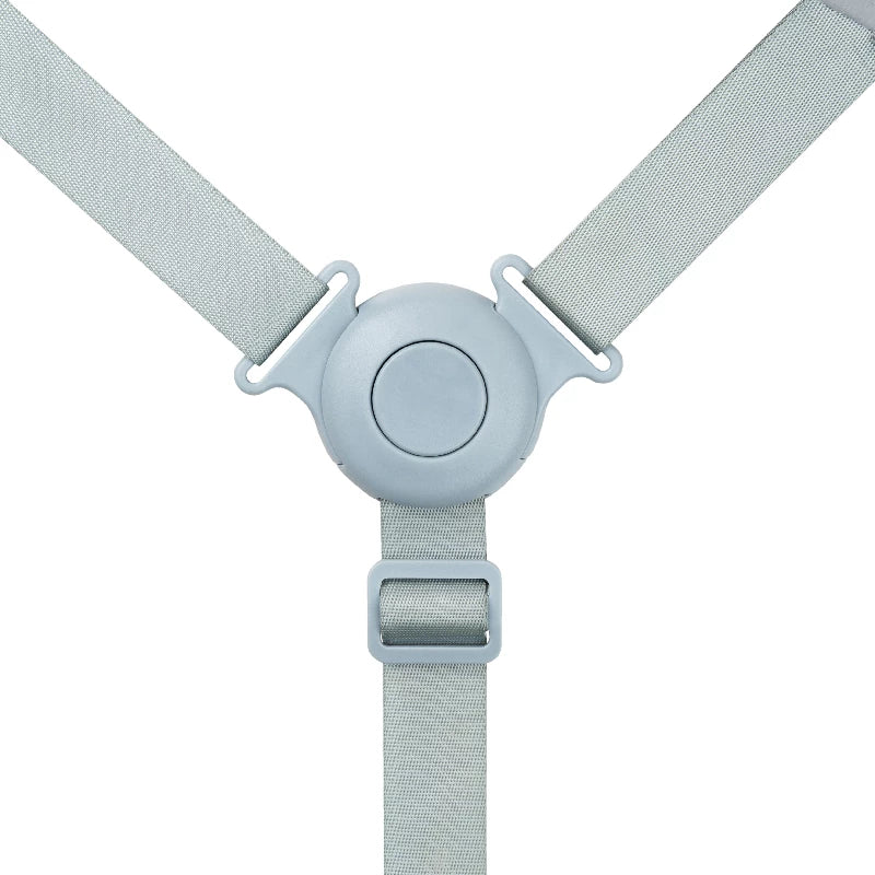 Sele   Misty fra Ziza